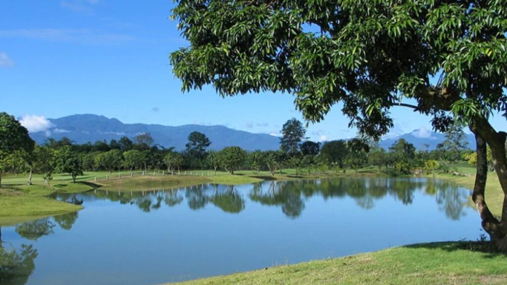 メージョー・ゴルフクラブ