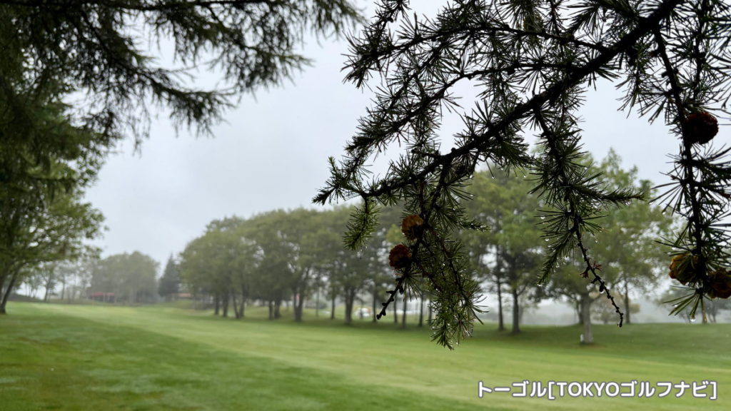 朝霧が残るコース