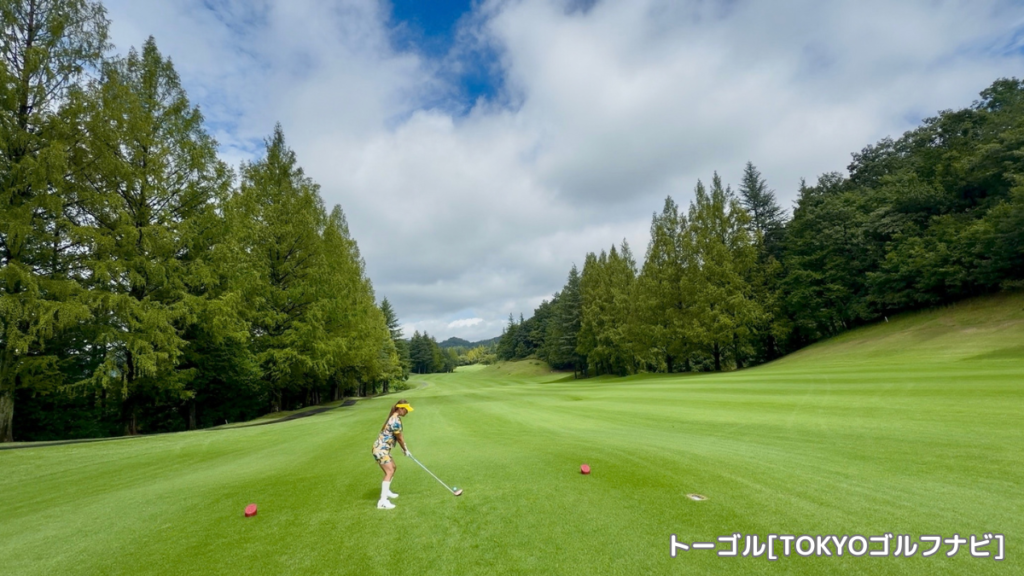 皐月ゴルフ倶楽部 佐野コース7番ホールのレディースティーからの眺め