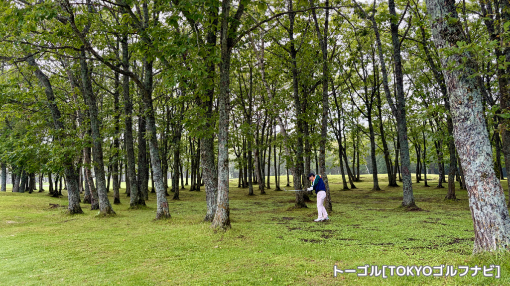 弟子屈カントリークラブの白樺林の中でプレーする様子