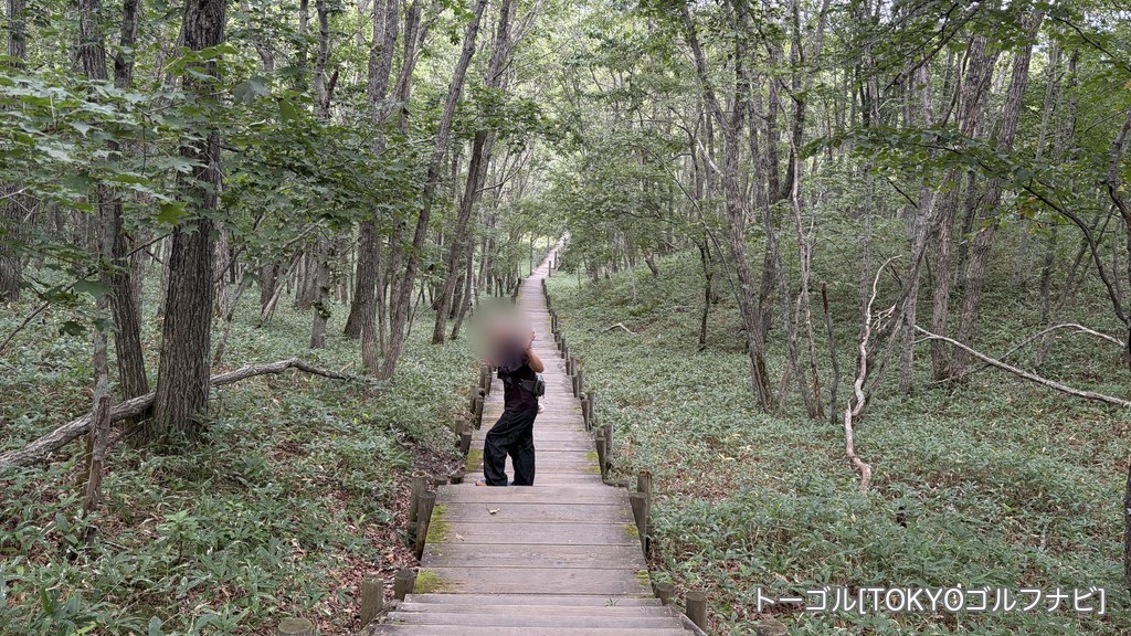釧路市湿原展望台の周りの木道の遊歩道